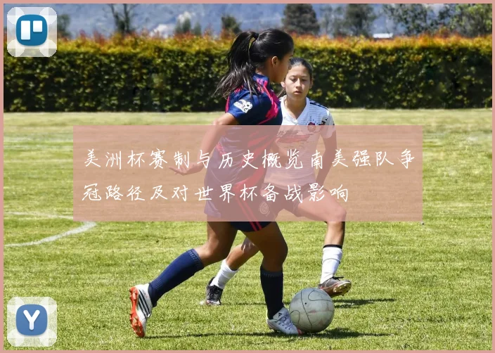 美洲杯赛制与历史概览南美强队争冠路径及对世界杯备战影响