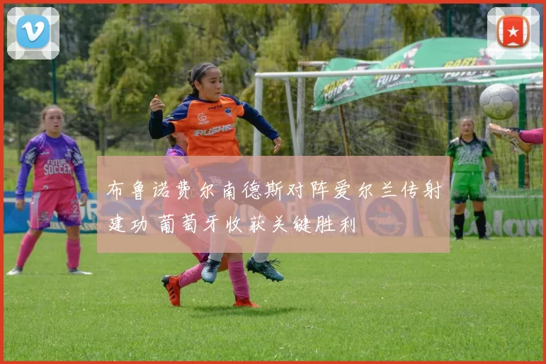 布鲁诺费尔南德斯对阵爱尔兰传射建功 葡萄牙收获关键胜利