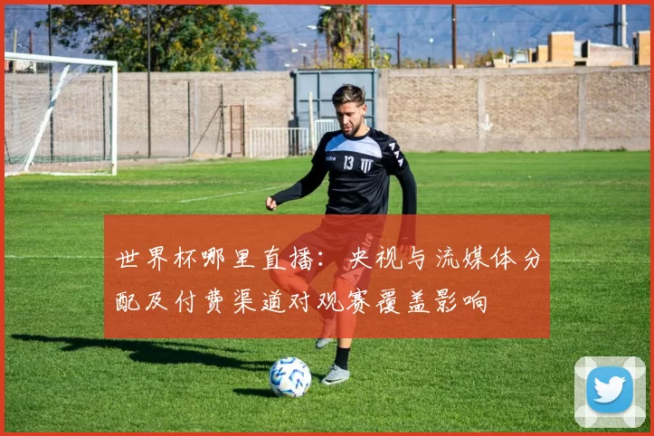 世界杯哪里直播：央视与流媒体分配及付费渠道对观赛覆盖影响