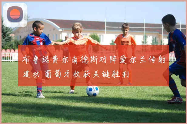 布鲁诺费尔南德斯对阵爱尔兰传射建功 葡萄牙收获关键胜利