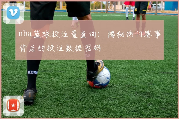 nba篮球投注量查询：揭秘热门赛事背后的投注数据密码