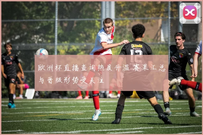 欧洲杯直播查询热度升温 赛果汇总与晋级形势受关注